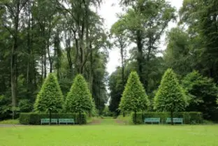 Tala y poda de árboles en altura en Sevilla Tala y poda de árboles en altura en Sevilla