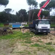 Tala y poda de árboles en altura Poda y tala de árboles en altura